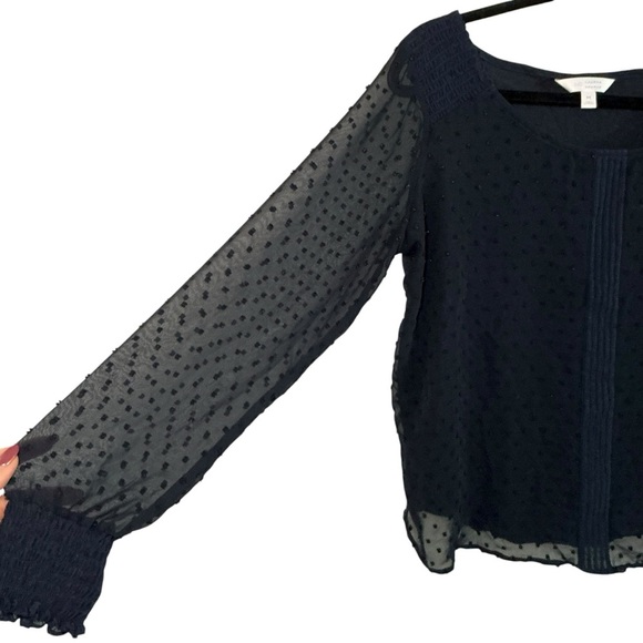 Lauren Conrad Navy Swiss Dot Long Sleeve Blouse Sheer Sleeve Feminine Chic - Picture 3 of 4